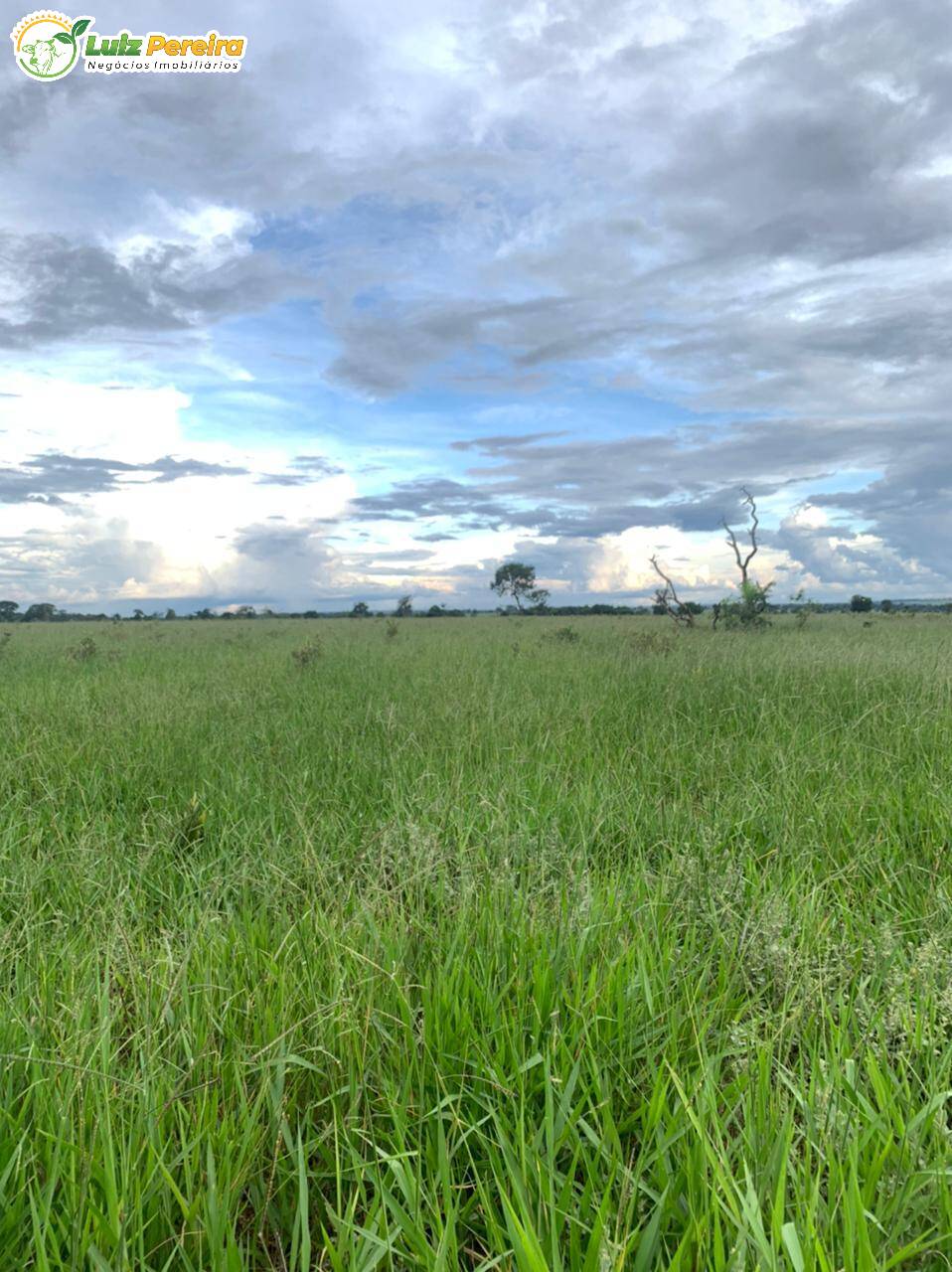 Fazenda à venda, 10285000m² - Foto 13