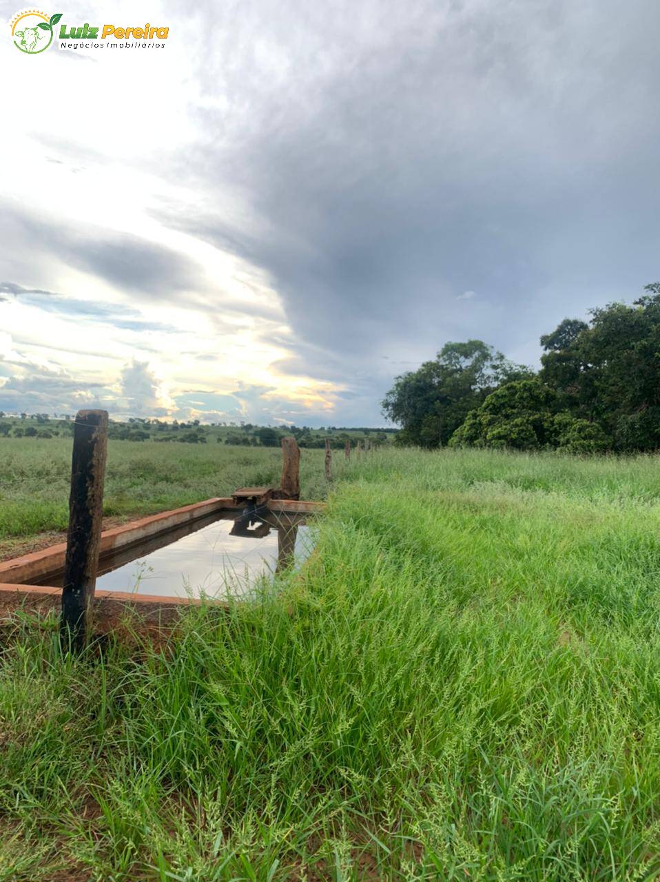 Fazenda à venda, 10285000m² - Foto 5