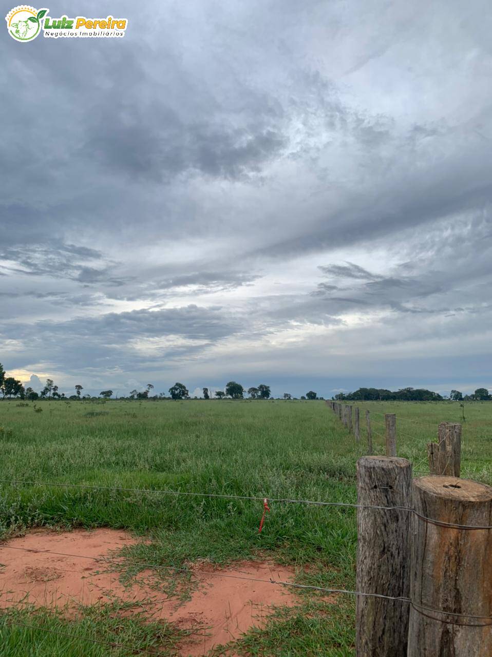 Fazenda à venda, 10285000m² - Foto 11