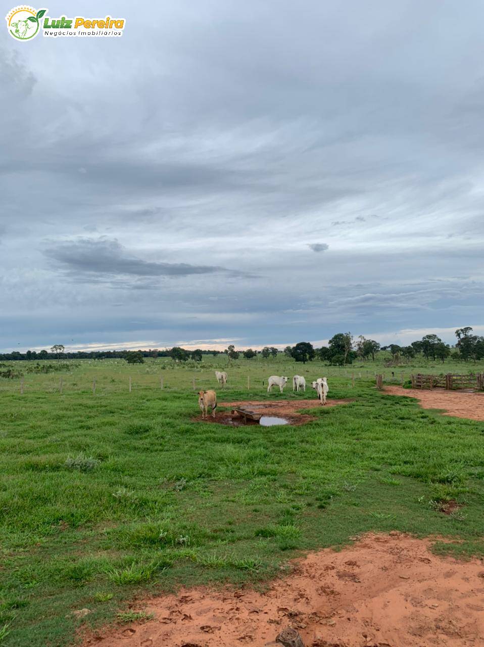 Fazenda à venda, 10285000m² - Foto 1