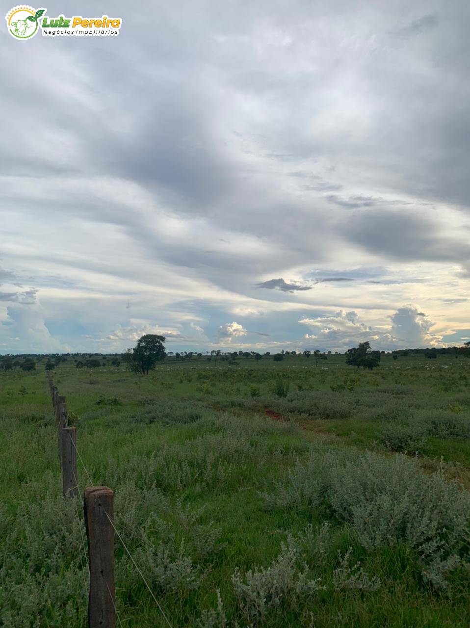 Fazenda à venda, 10285000m² - Foto 9