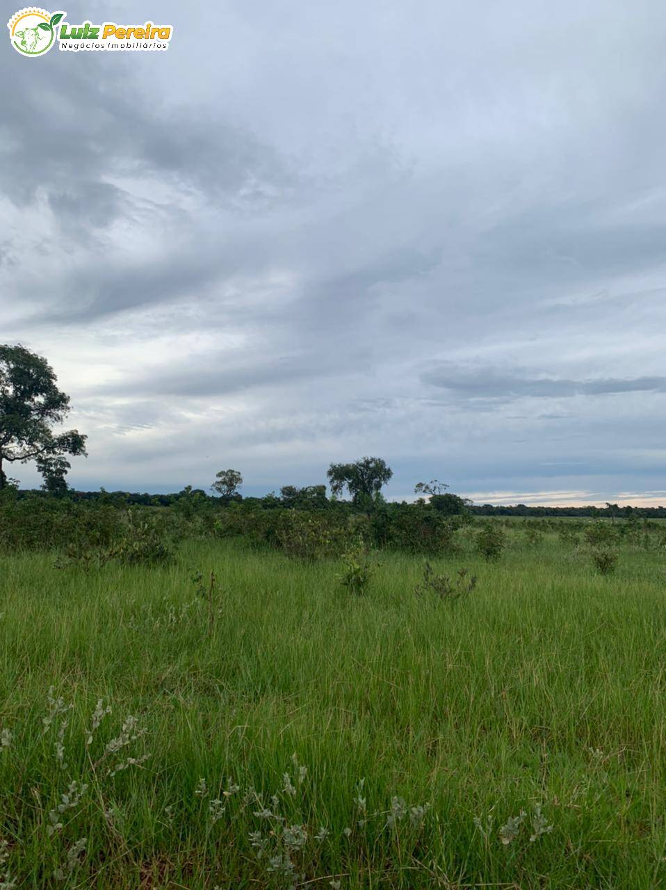 Fazenda à venda, 10285000m² - Foto 7