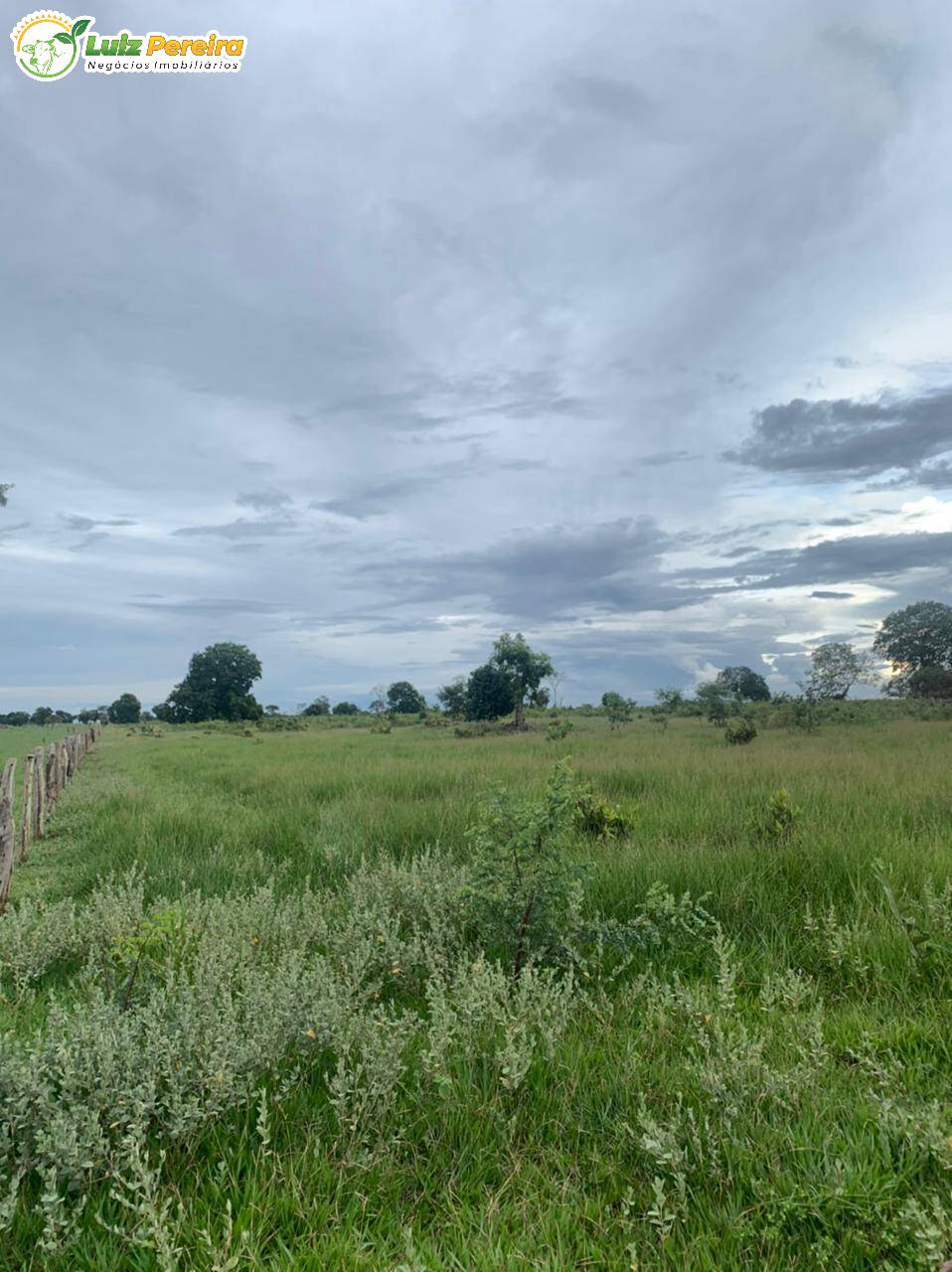 Fazenda à venda, 10285000m² - Foto 8