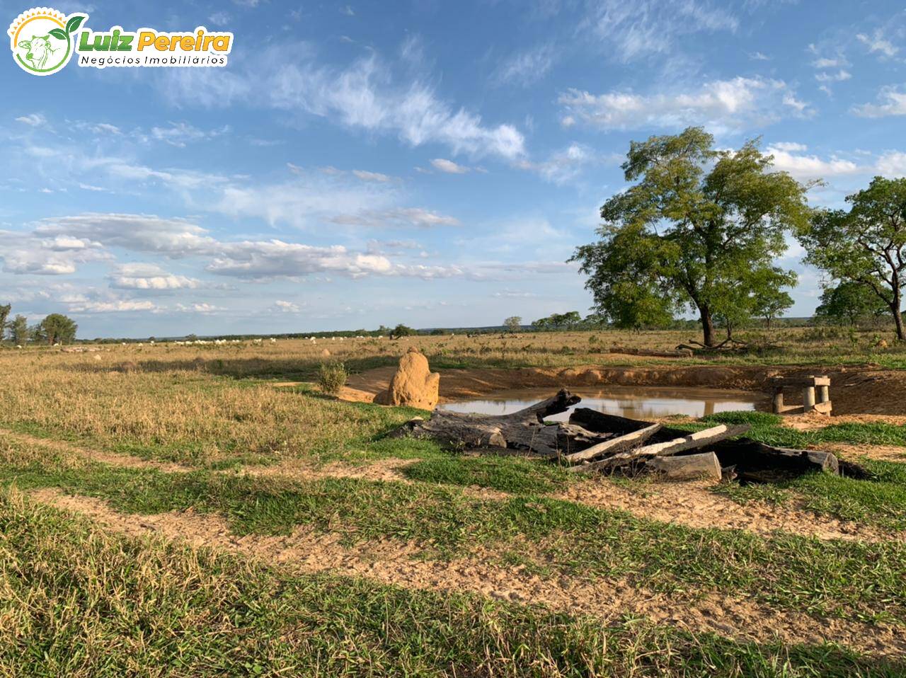 Fazenda à venda, 4694800m² - Foto 5