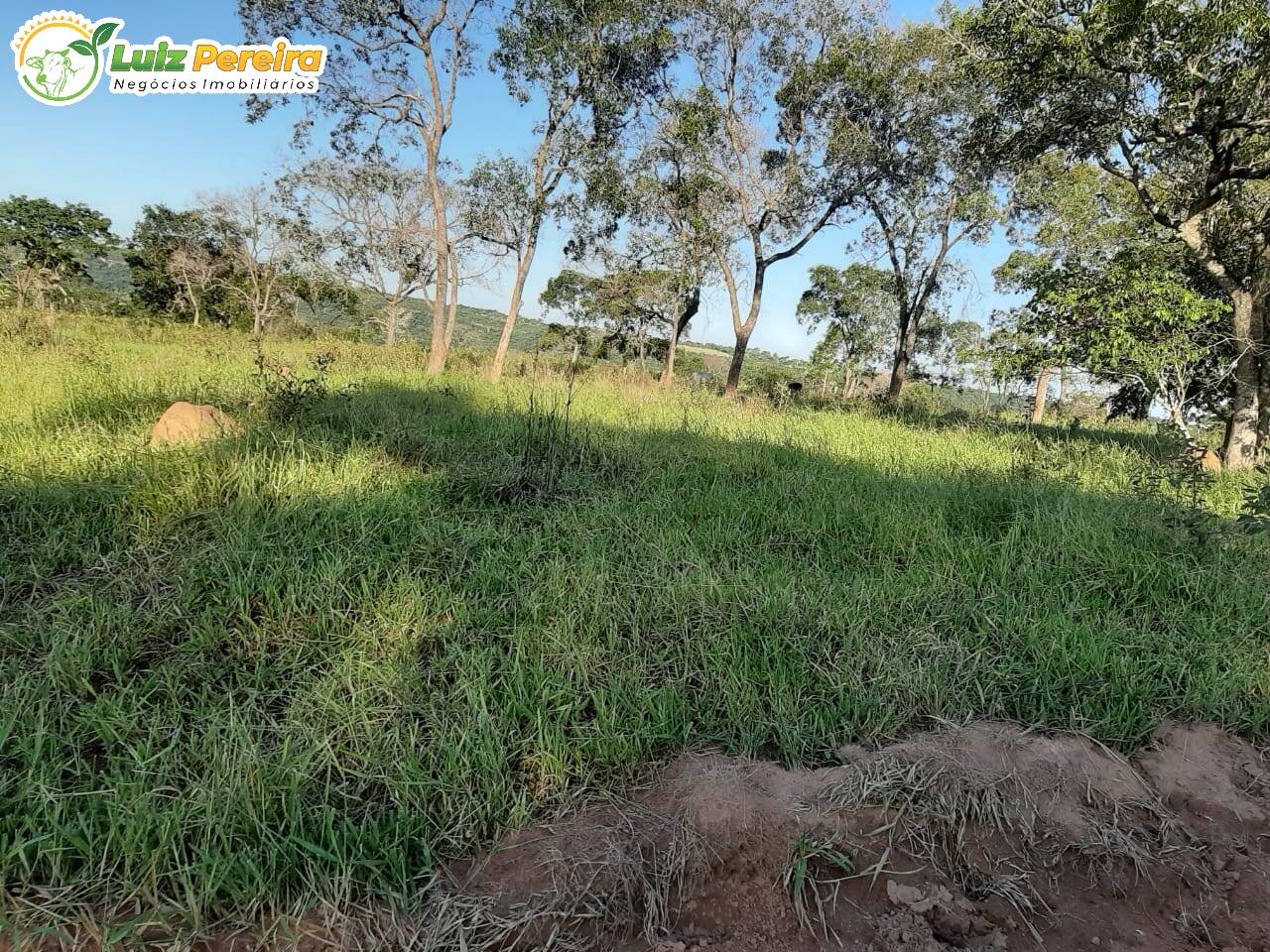 Fazenda à venda, 300m² - Foto 13