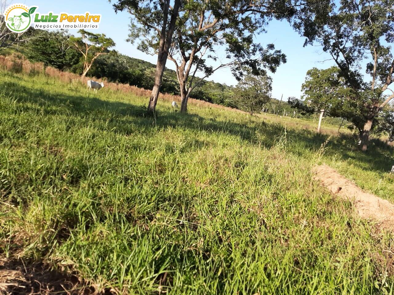 Fazenda à venda, 300m² - Foto 6