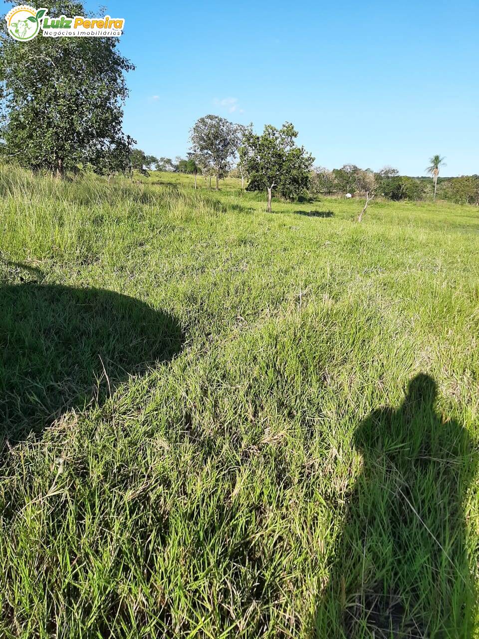 Fazenda à venda, 300m² - Foto 12