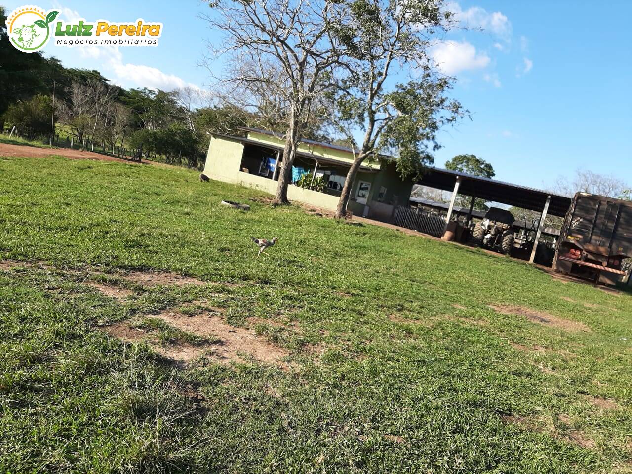 Fazenda à venda, 300m² - Foto 20