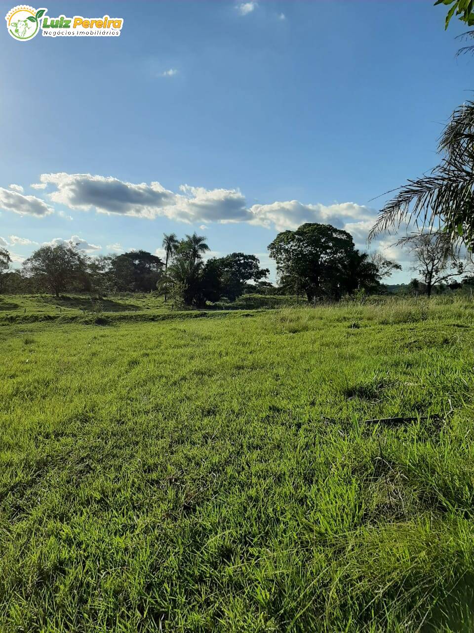 Fazenda à venda, 300m² - Foto 5