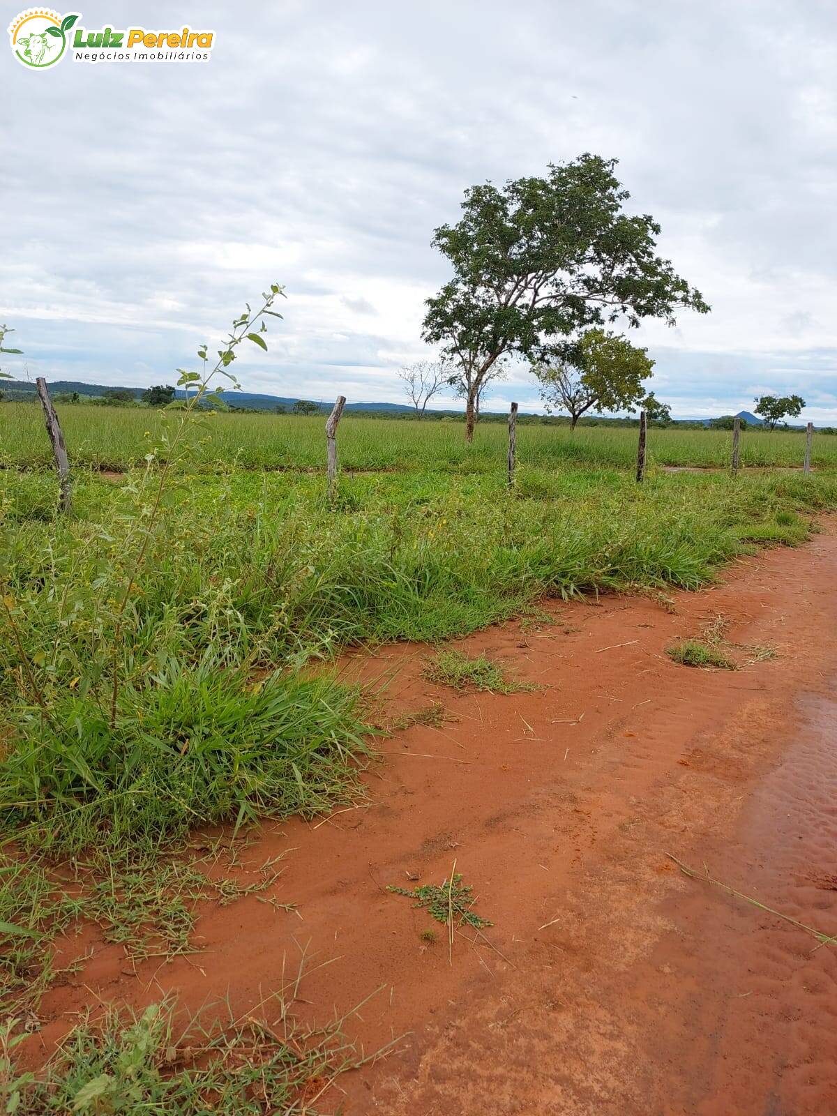 Fazenda à venda, 6388800m² - Foto 18