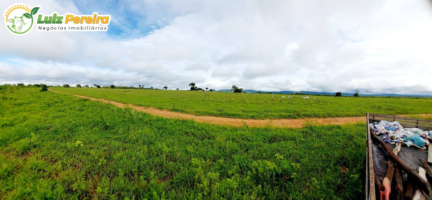 Fazenda à venda, 6388800m² - Foto 11