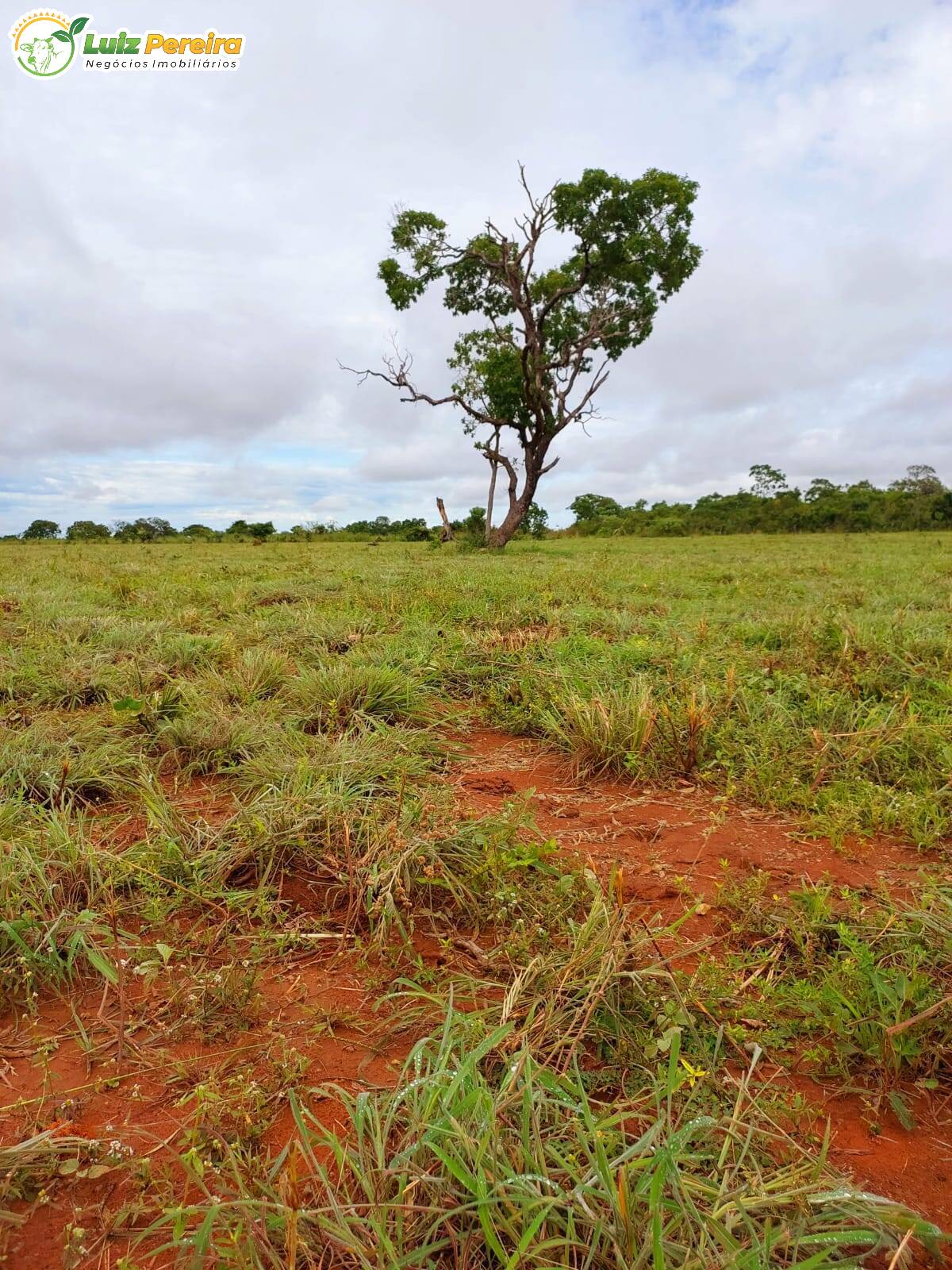 Fazenda à venda, 6388800m² - Foto 16