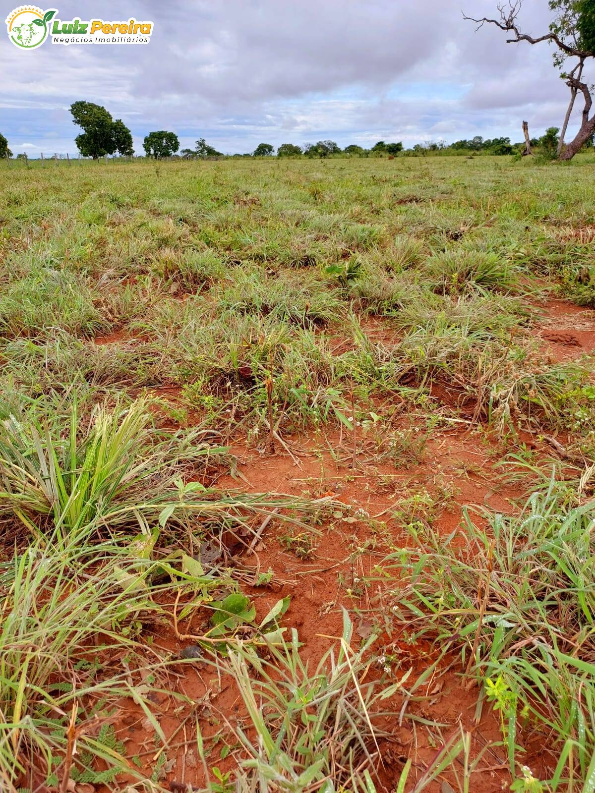 Fazenda à venda, 6388800m² - Foto 15