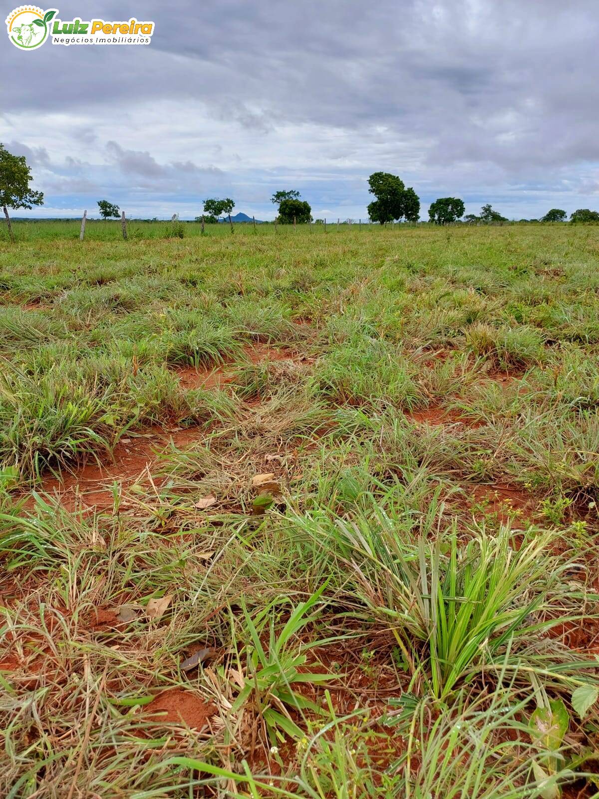 Fazenda à venda, 6388800m² - Foto 12