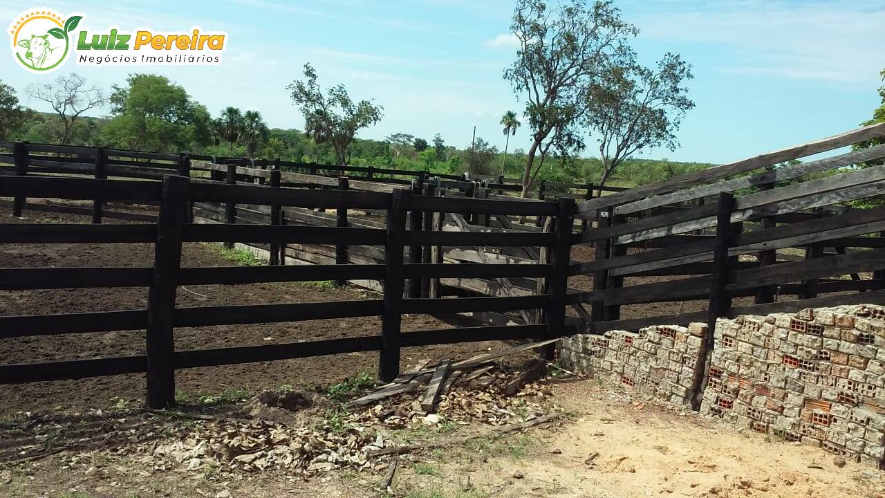 Fazenda à venda, 4500000m² - Foto 6