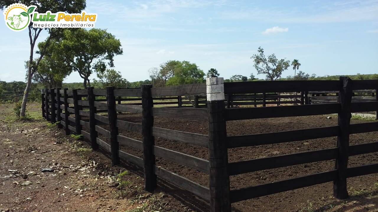 Fazenda à venda, 4500000m² - Foto 8