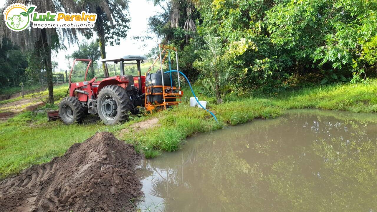 Fazenda à venda, 4500000m² - Foto 20