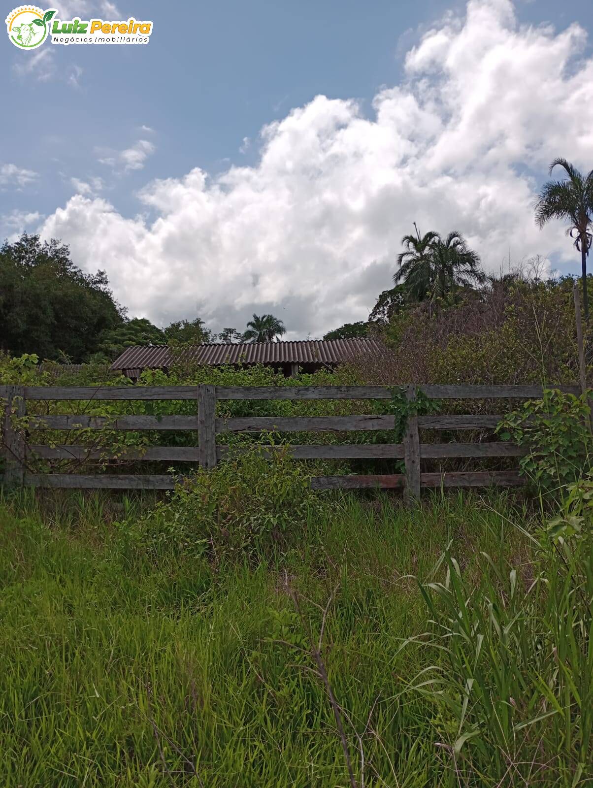 Fazenda à venda, 320m² - Foto 9