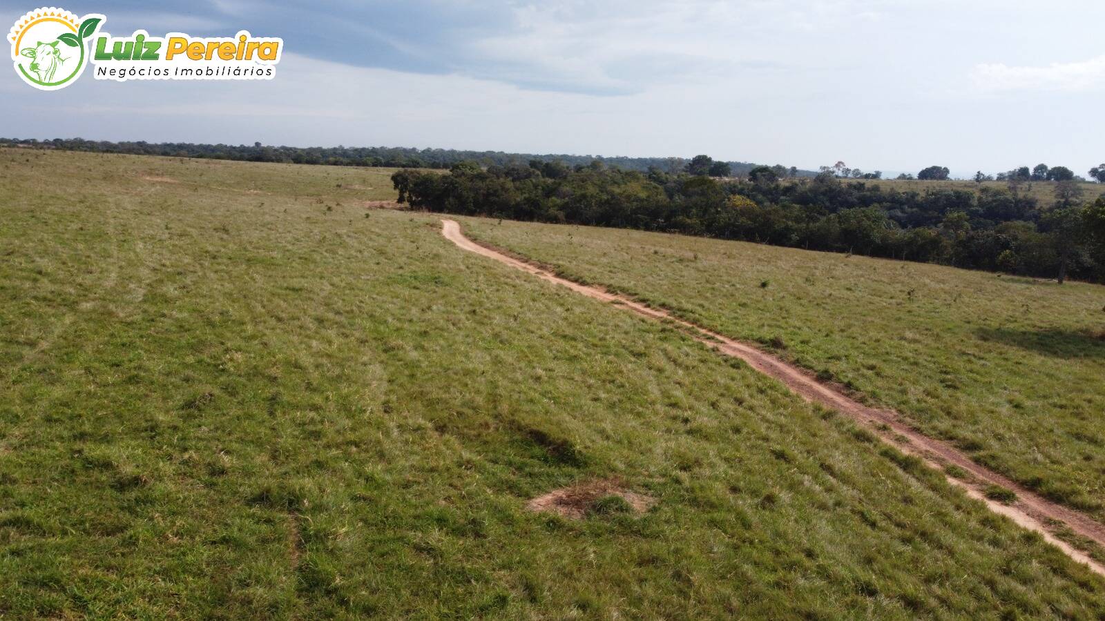 Fazenda à venda, 48400000m² - Foto 5