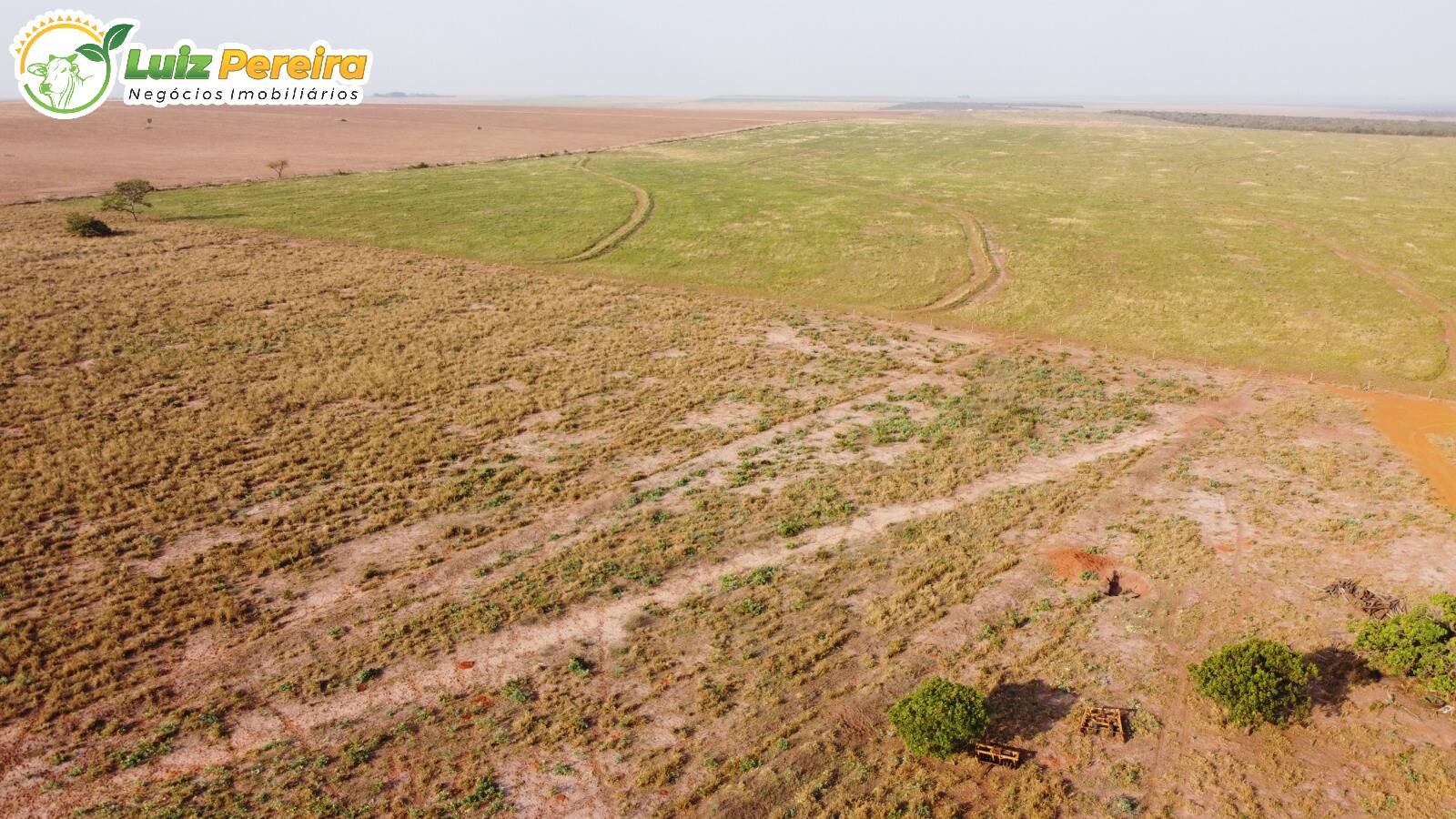 Fazenda à venda, 48400000m² - Foto 12