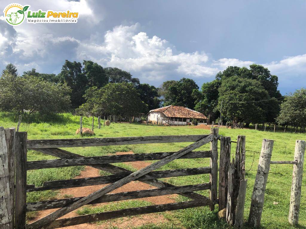 Fazenda-Sítio-Chácara, 1394 hectares - Foto 1