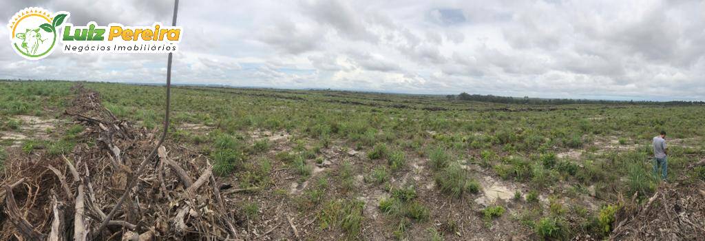 Fazenda à venda, 17200000m² - Foto 9