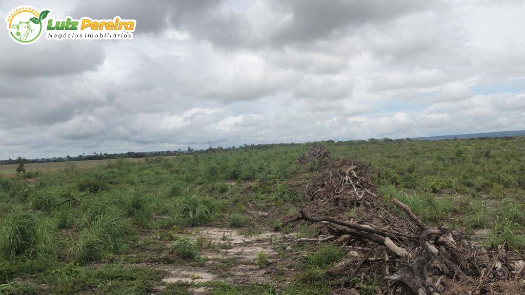 Fazenda à venda, 17200000m² - Foto 7