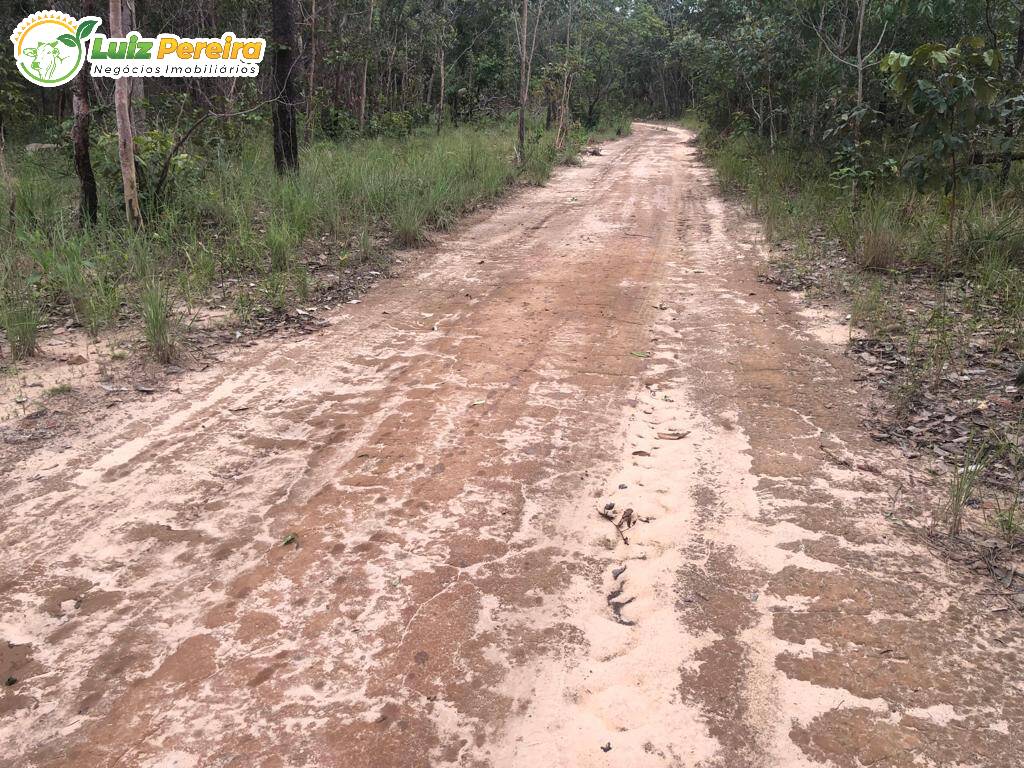 Fazenda à venda, 17200000m² - Foto 11