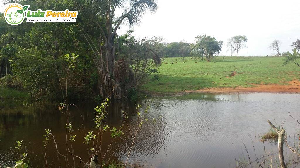 Fazenda à venda, 31500000m² - Foto 5