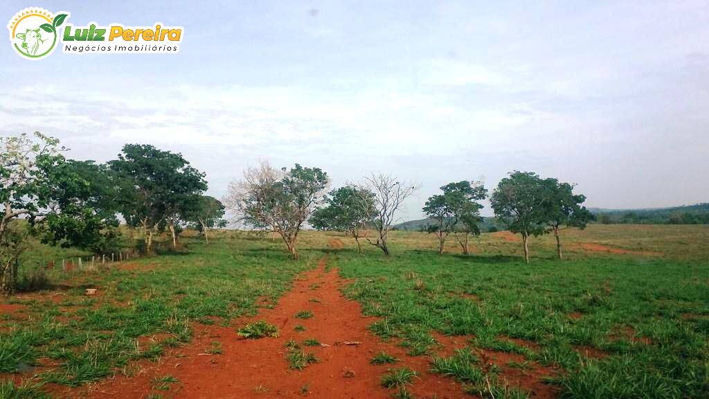 Fazenda à venda, 31500000m² - Foto 8