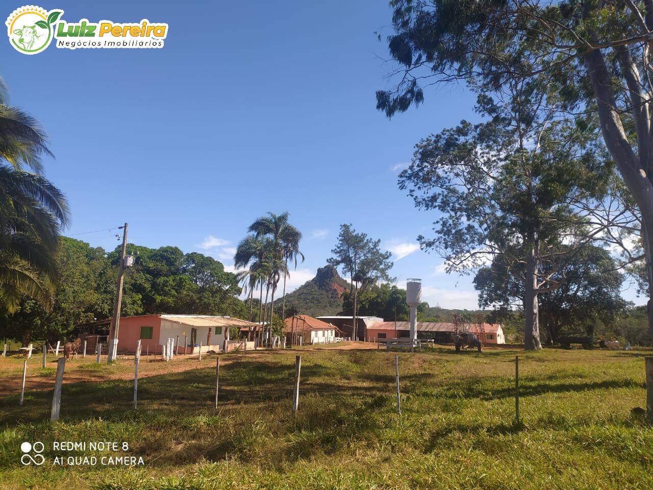 Fazenda à venda, 31500000m² - Foto 6