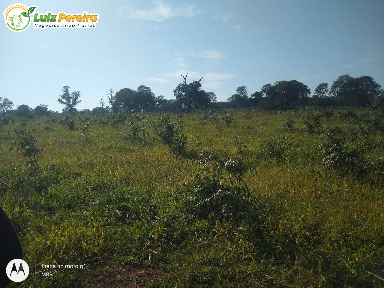 Fazenda à venda, 1620000m² - Foto 8