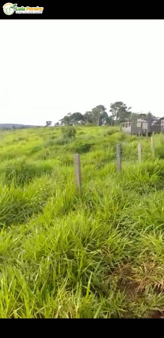 Fazenda à venda, 29500000m² - Foto 1