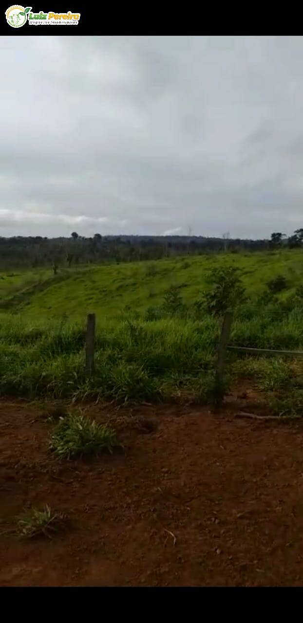 Fazenda à venda, 29500000m² - Foto 3