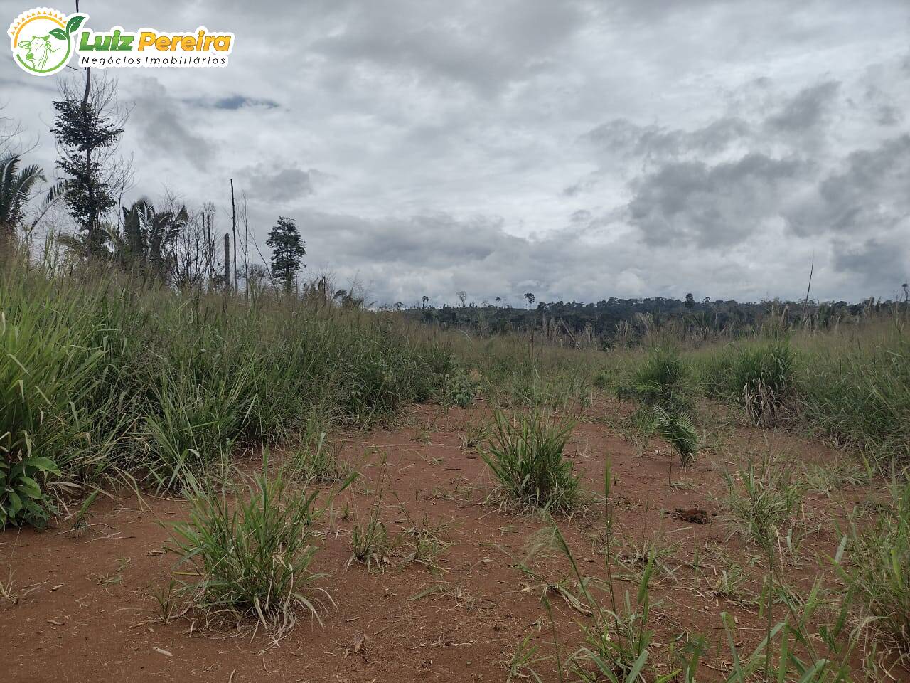 Fazenda à venda, 26000000m² - Foto 2