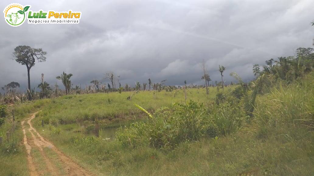 Fazenda à venda, 26000000m² - Foto 3