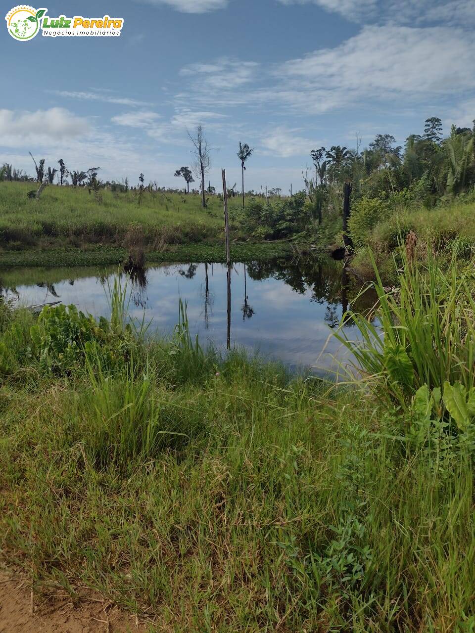 Fazenda à venda, 26000000m² - Foto 1