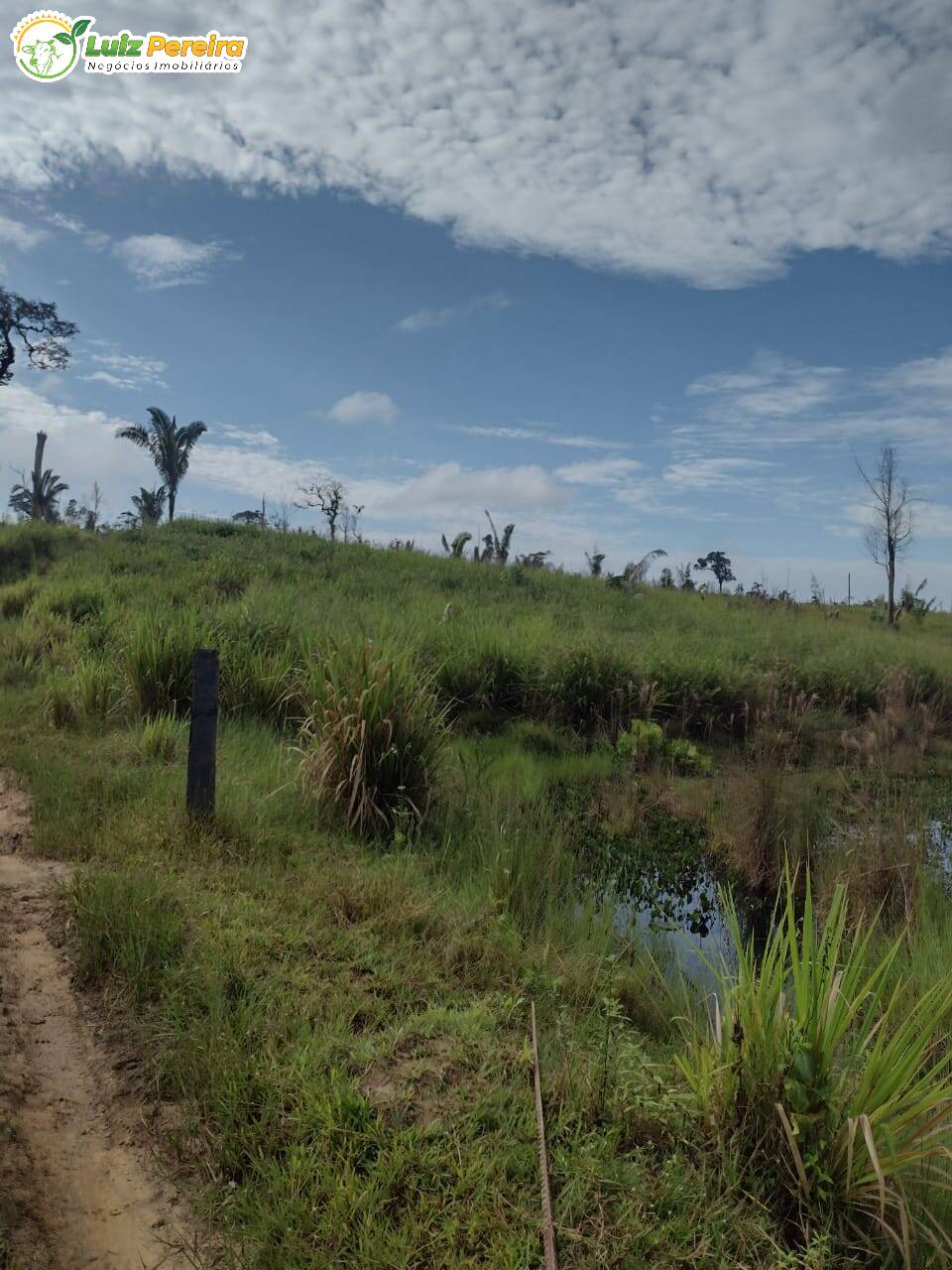 Fazenda à venda, 26000000m² - Foto 6