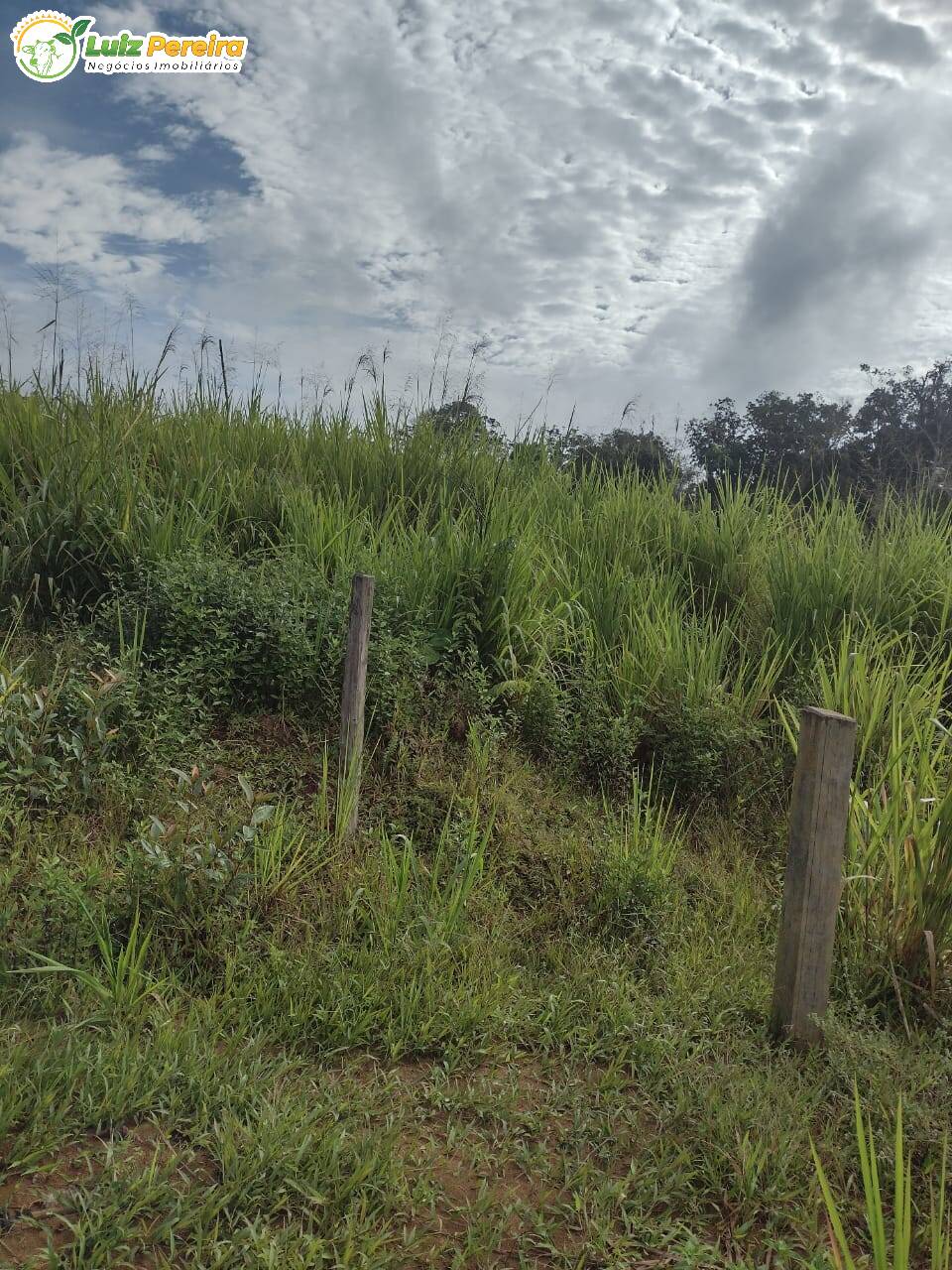 Fazenda à venda, 26000000m² - Foto 4