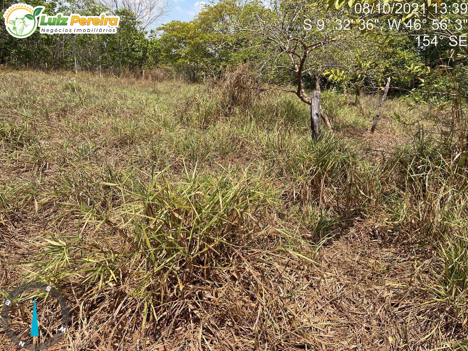 Fazenda à venda, 20000000m² - Foto 6