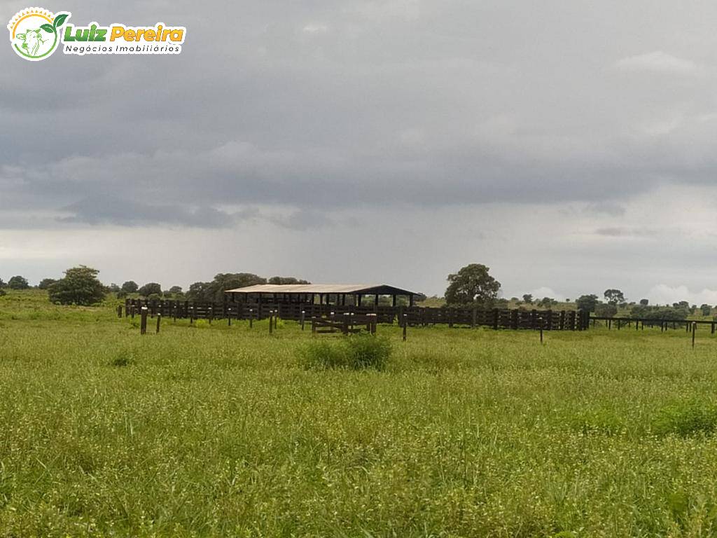 Fazenda à venda, 36000000m² - Foto 1