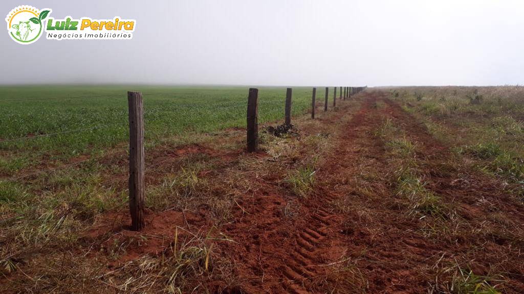 Fazenda à venda, 36000000m² - Foto 3