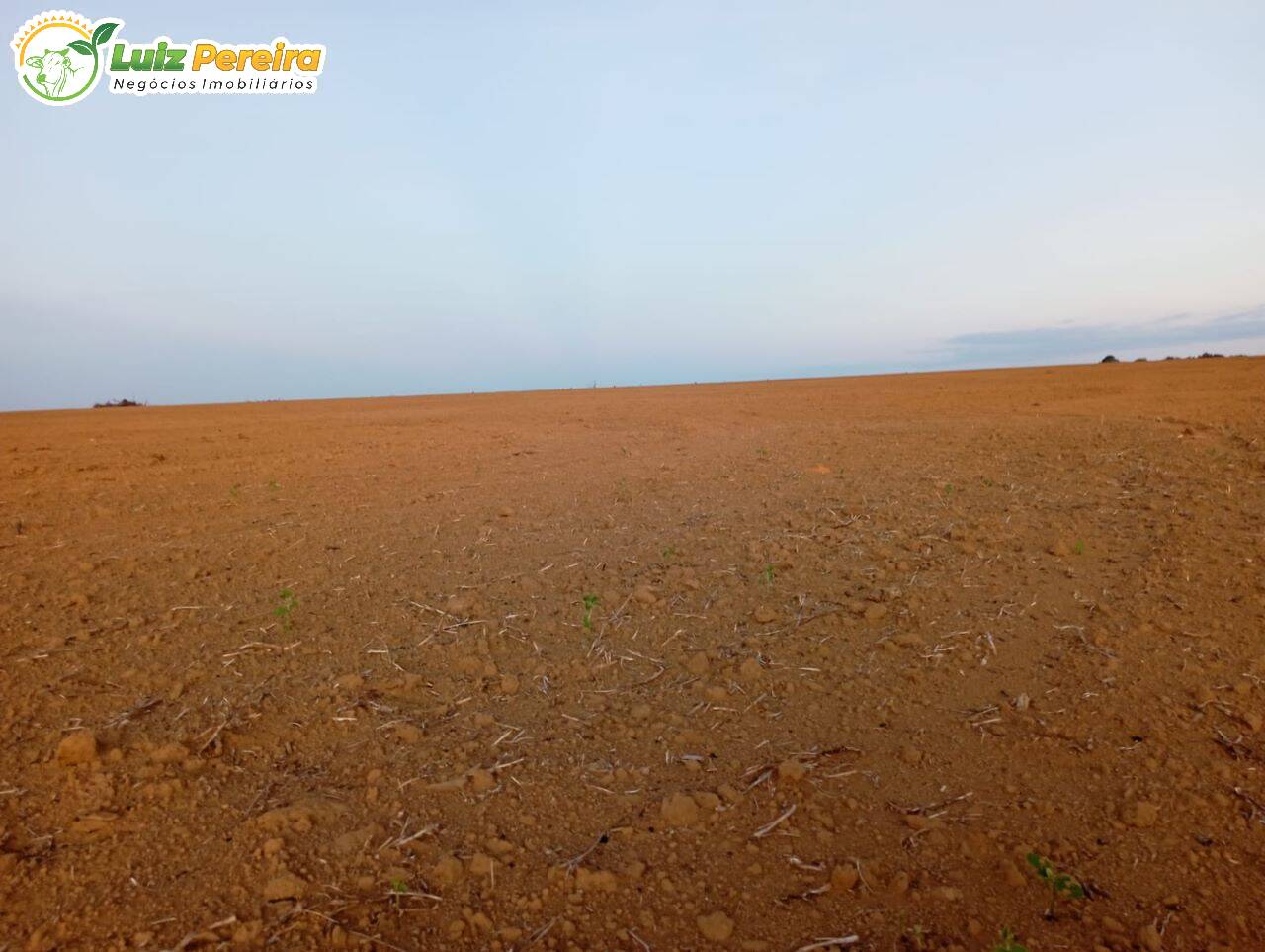 Fazenda-Sítio-Chácara, 581 hectares - Foto 4