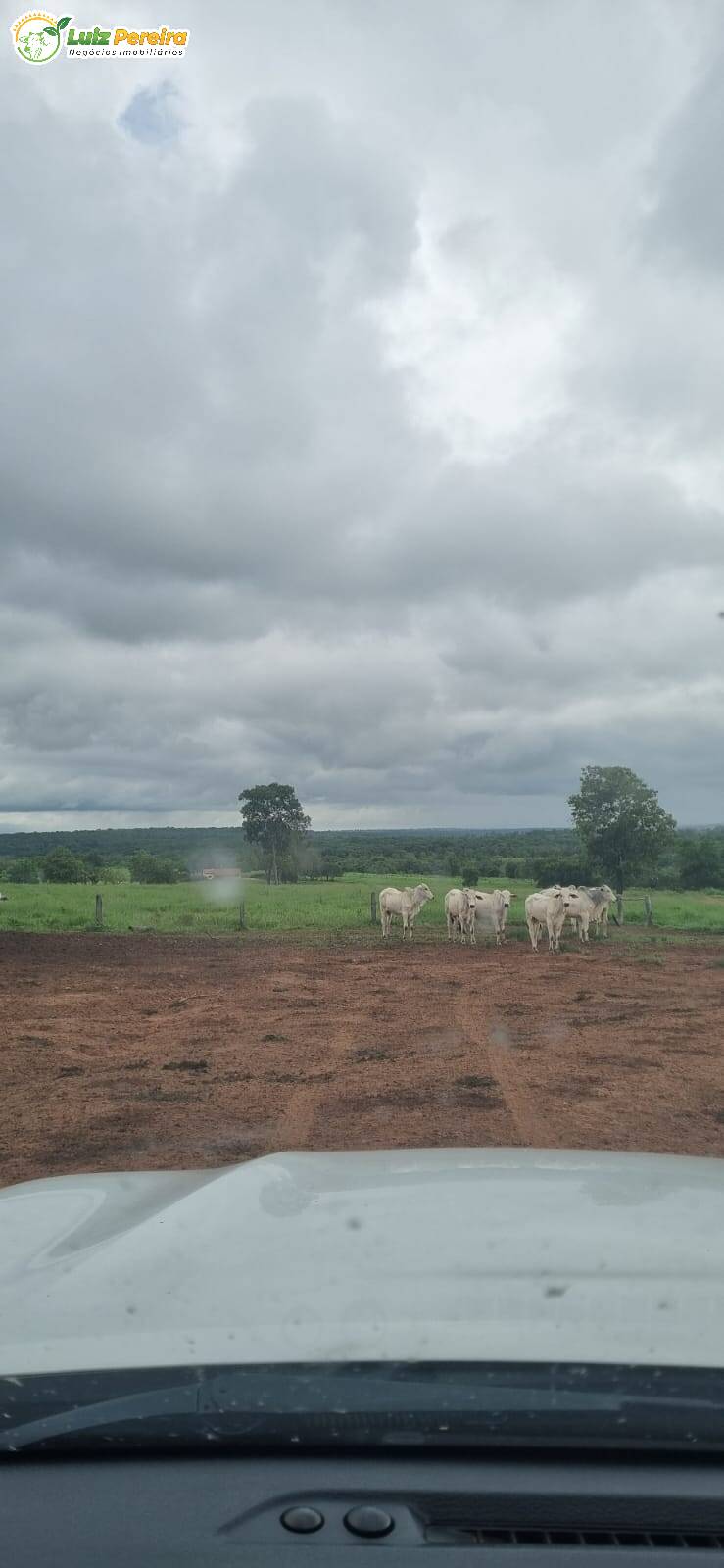 Fazenda à venda, 79860000m² - Foto 5