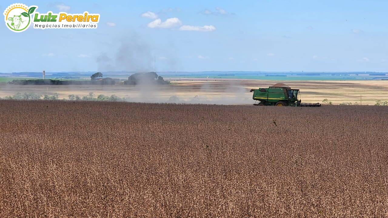 Fazenda à venda, 17303000m² - Foto 9