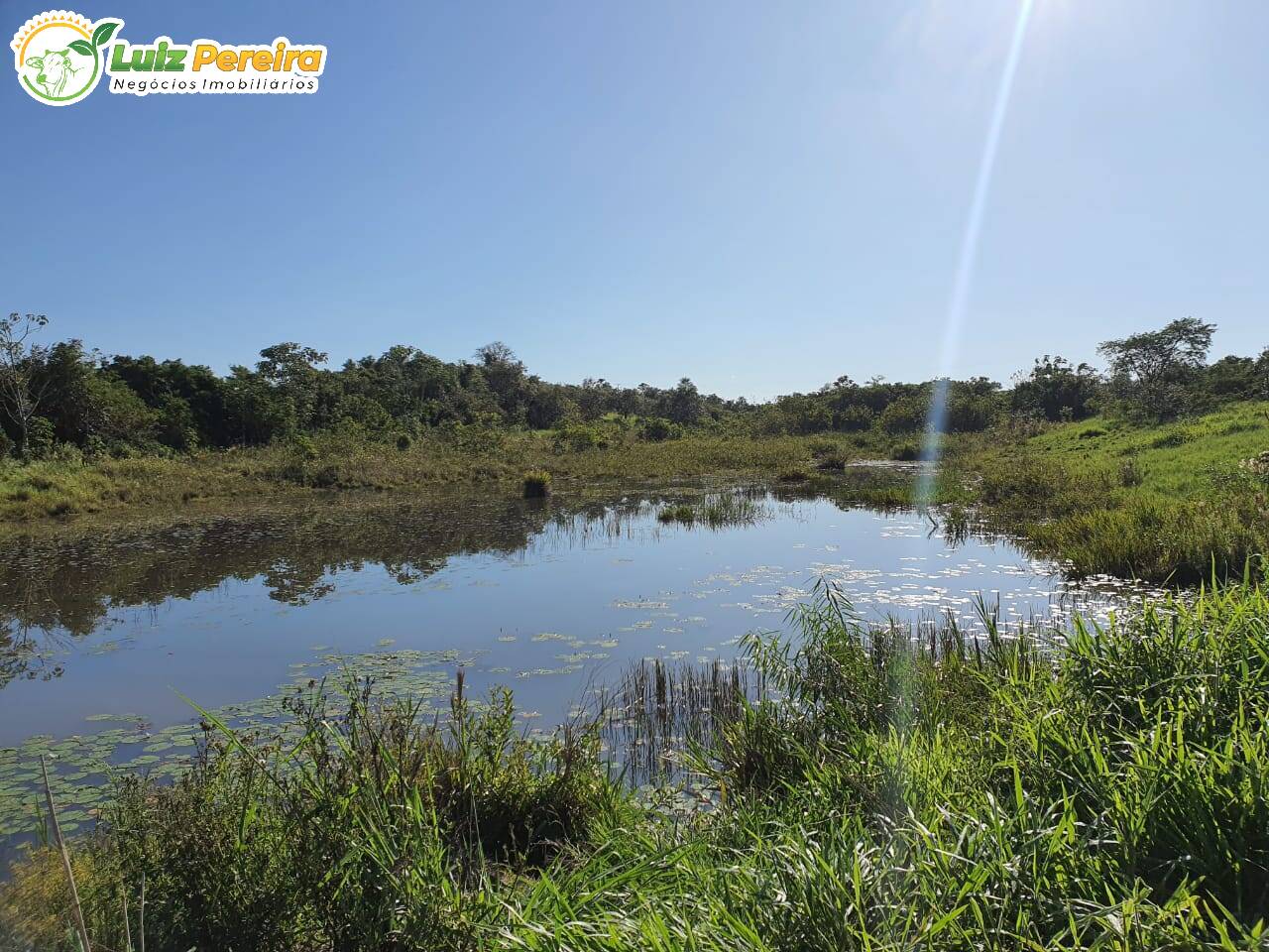 Fazenda à venda, 17303000m² - Foto 1