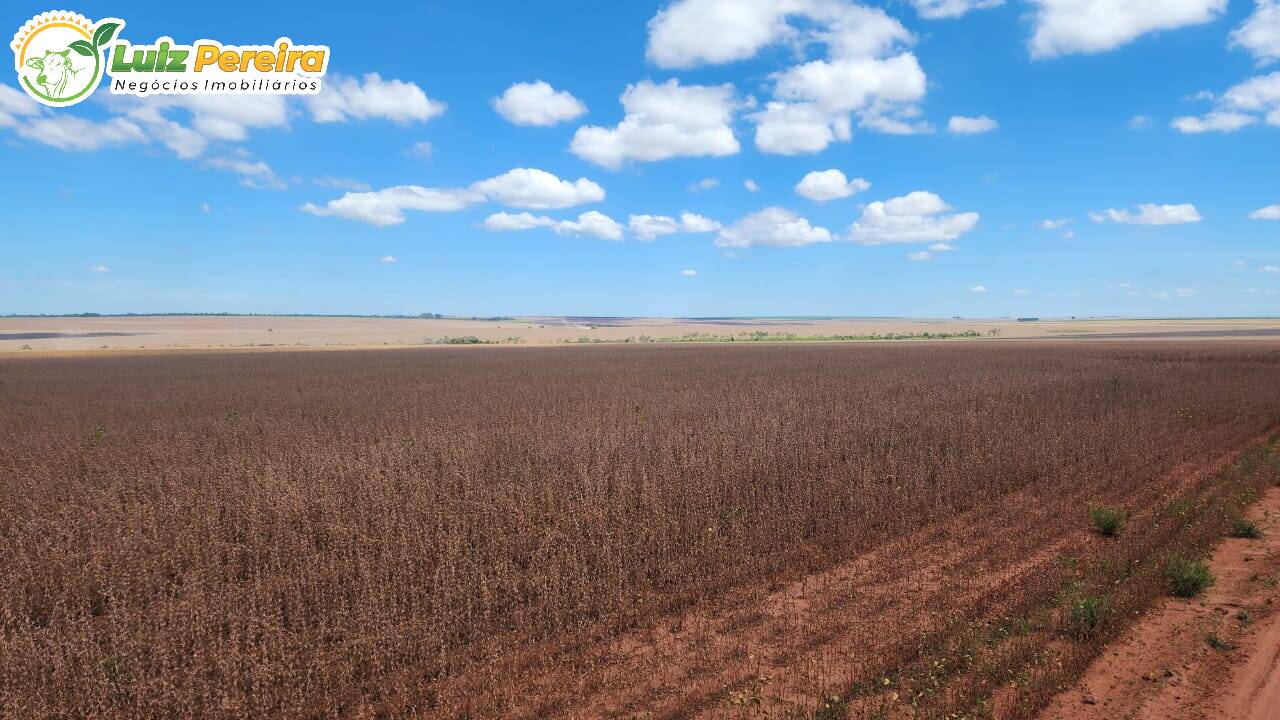 Fazenda à venda, 17303000m² - Foto 6