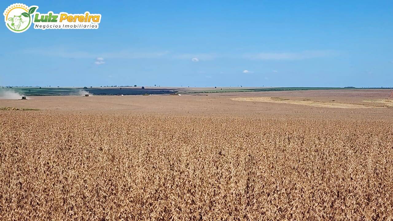 Fazenda à venda, 17303000m² - Foto 7