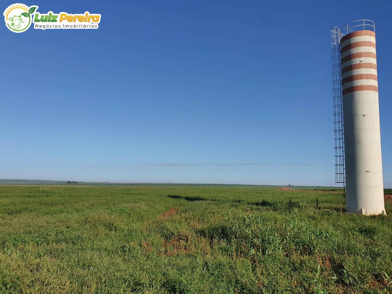 Fazenda à venda, 17303000m² - Foto 5