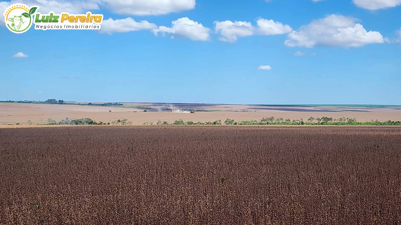 Fazenda à venda, 17303000m² - Foto 8